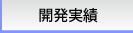 開発実績